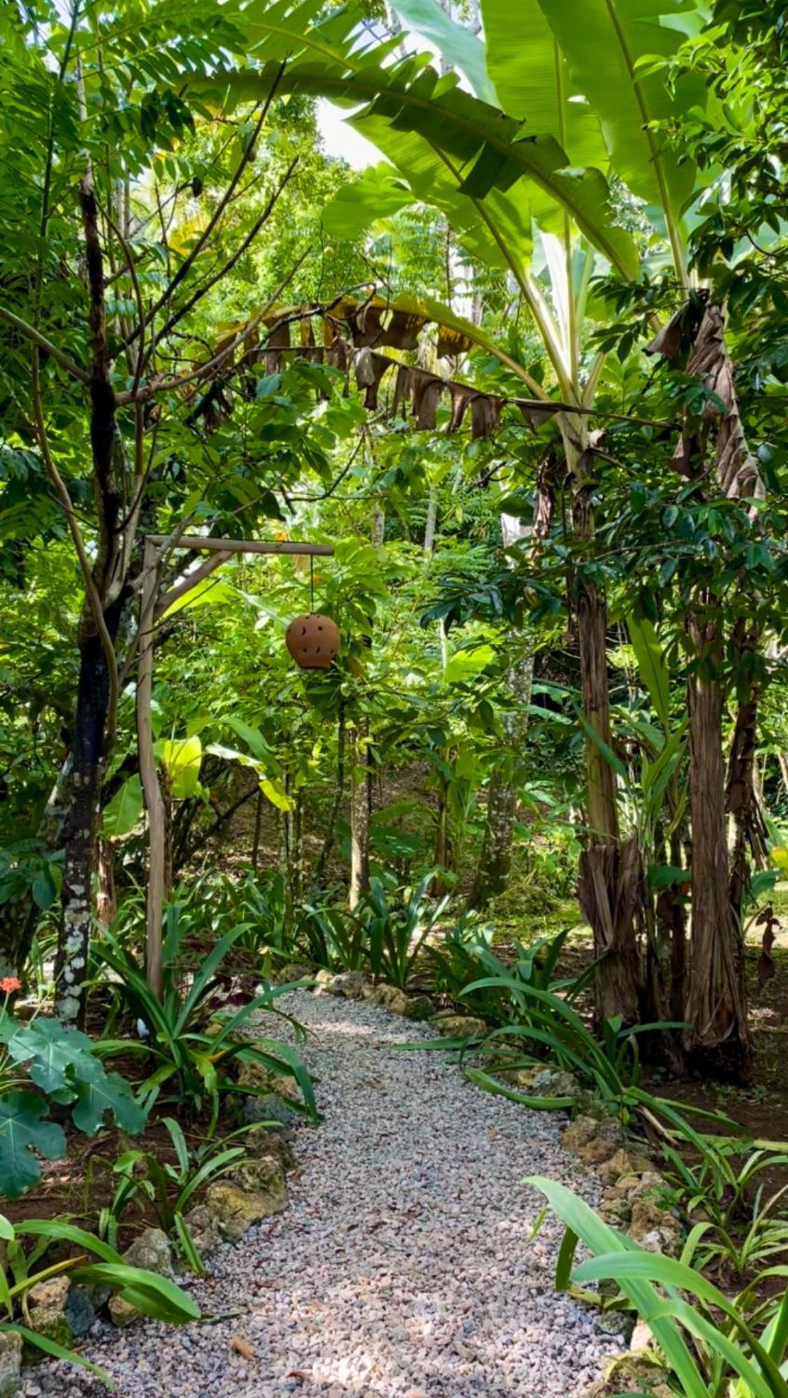 Rancho Romana Ecolodge Park V-01 El Limon Eksteriør billede