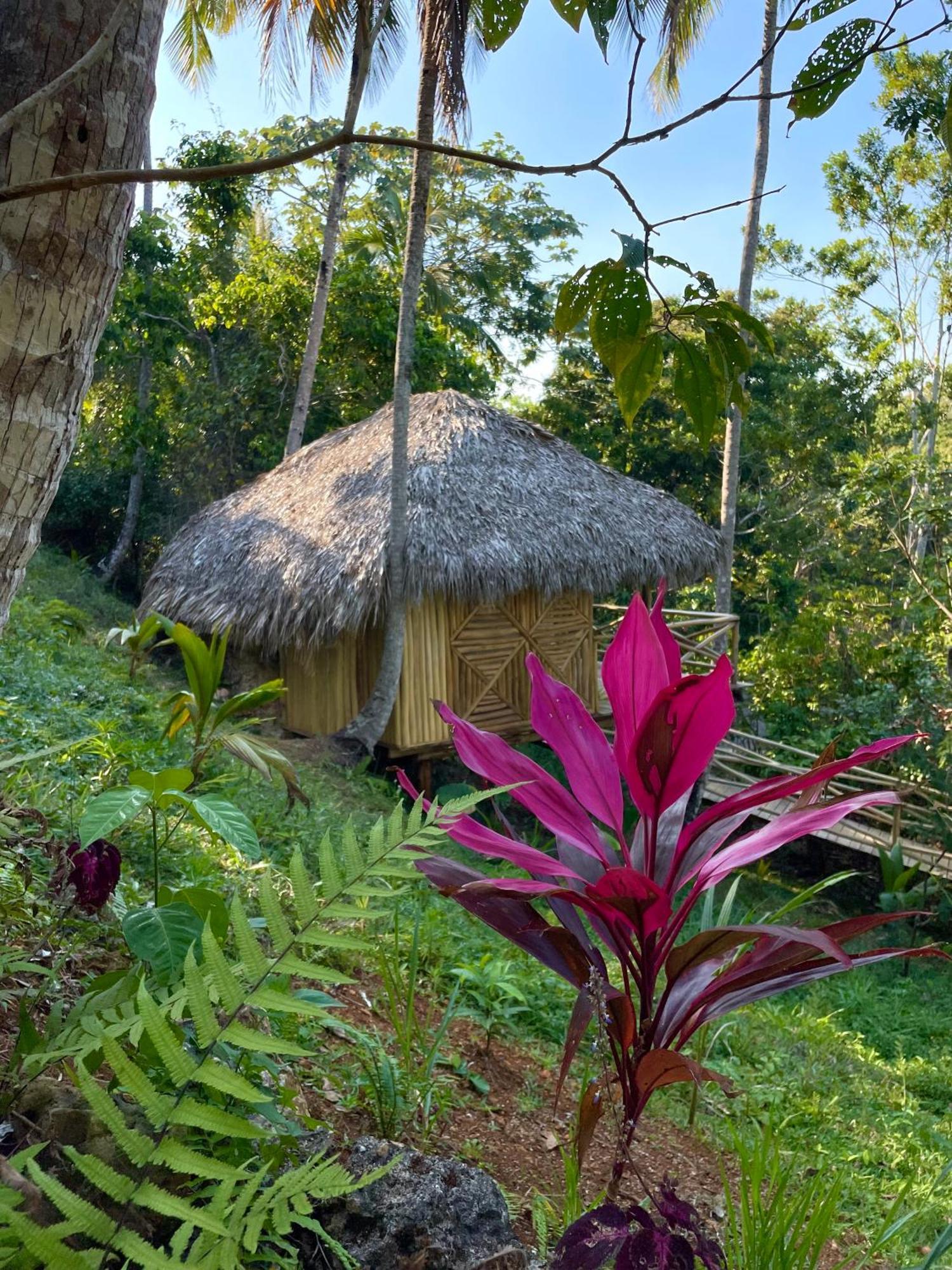 Rancho Romana Ecolodge Park V-01 El Limon Eksteriør billede