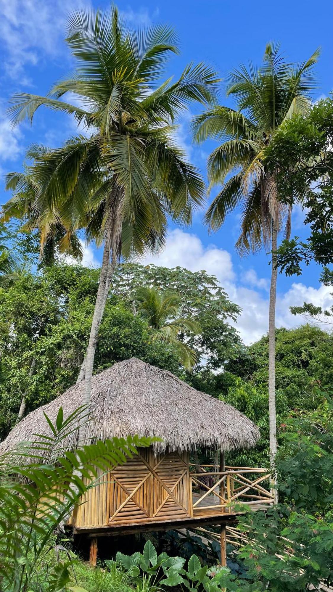 Rancho Romana Ecolodge Park V-01 El Limon Eksteriør billede