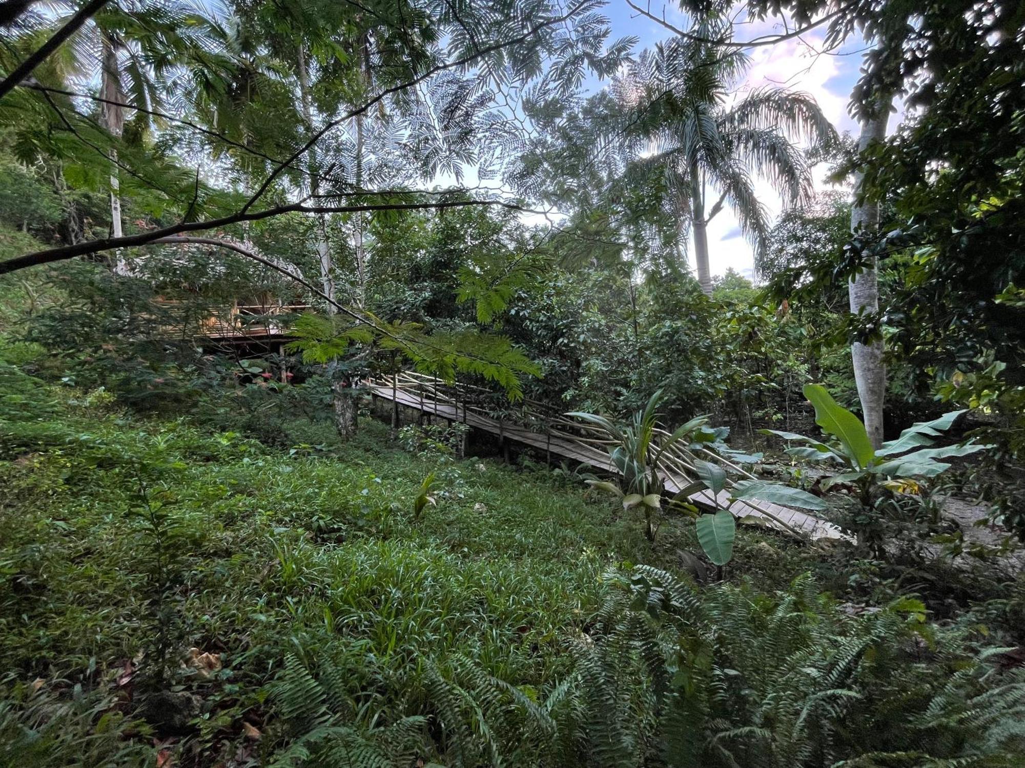Rancho Romana Ecolodge Park V-01 El Limon Eksteriør billede